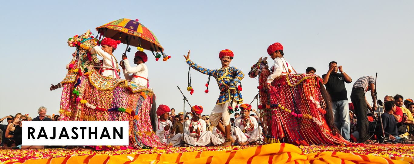 Camel Safari, Rajasthan