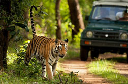 Corbett National Park