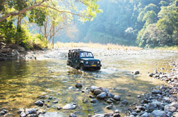 Corbett National Park