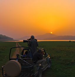 Corbett National Park