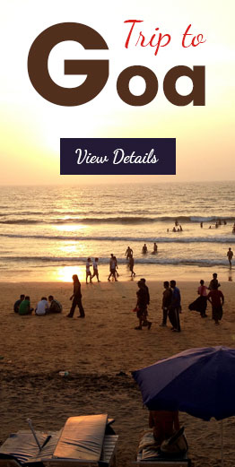 Goa Tours