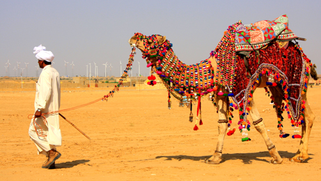 Jaisalmer