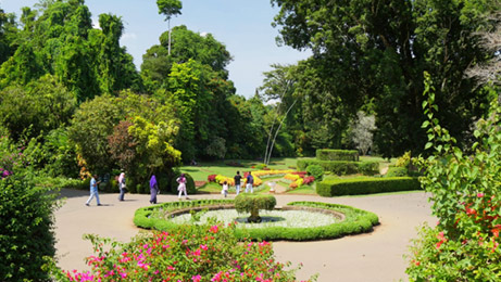 Royal Botanical Gardens