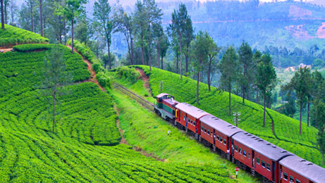 Nuwara Eliya