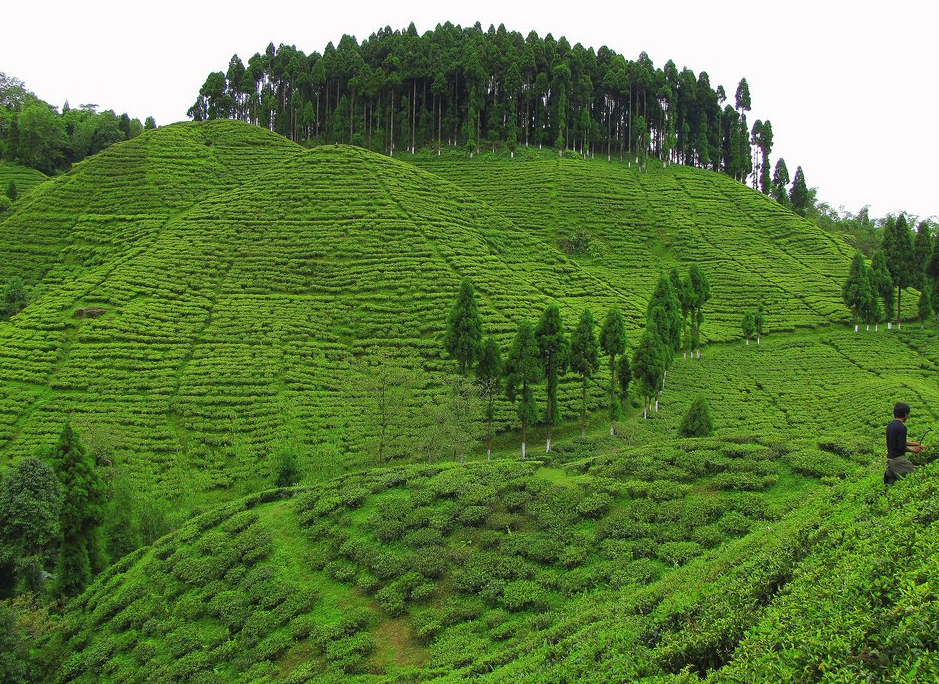 Gangtok