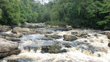 Taman Negara National Park